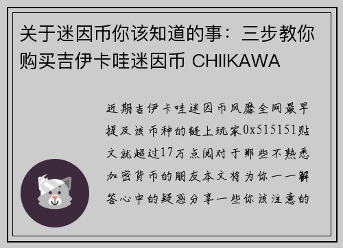 关于迷因币你该知道的事：三步教你购买吉伊卡哇迷因币 CHIIKAWA